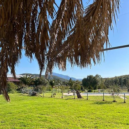 Agriturismo Su Niu Uta Bagian luar foto