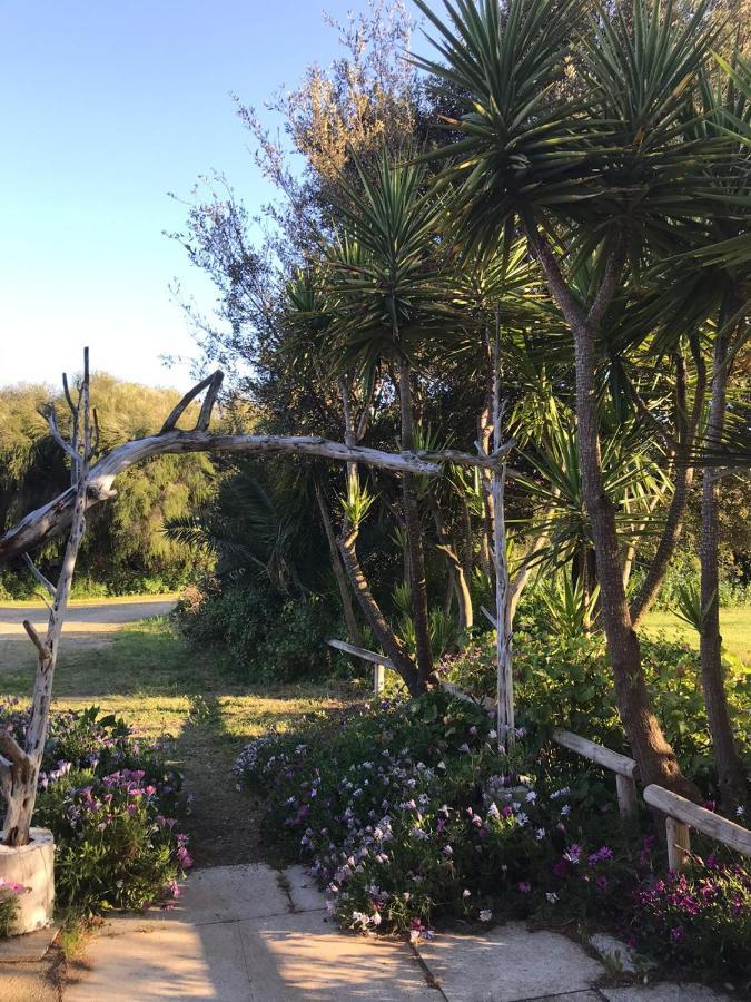 Agriturismo Su Niu Uta Bagian luar foto